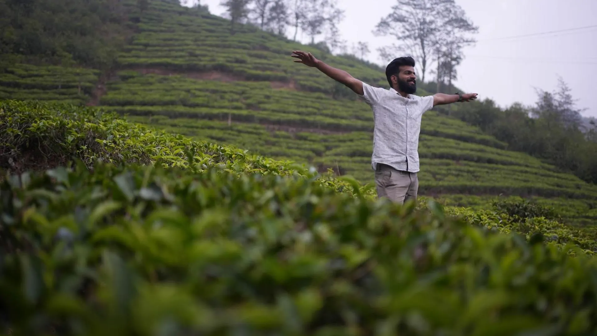 Theeram Agro Farm Hill Resort Vagamon